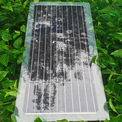 Un buen precio. 30W 40W 50W 60W 80W Panel solar PET Panel solar semitransparente 1000V en línea